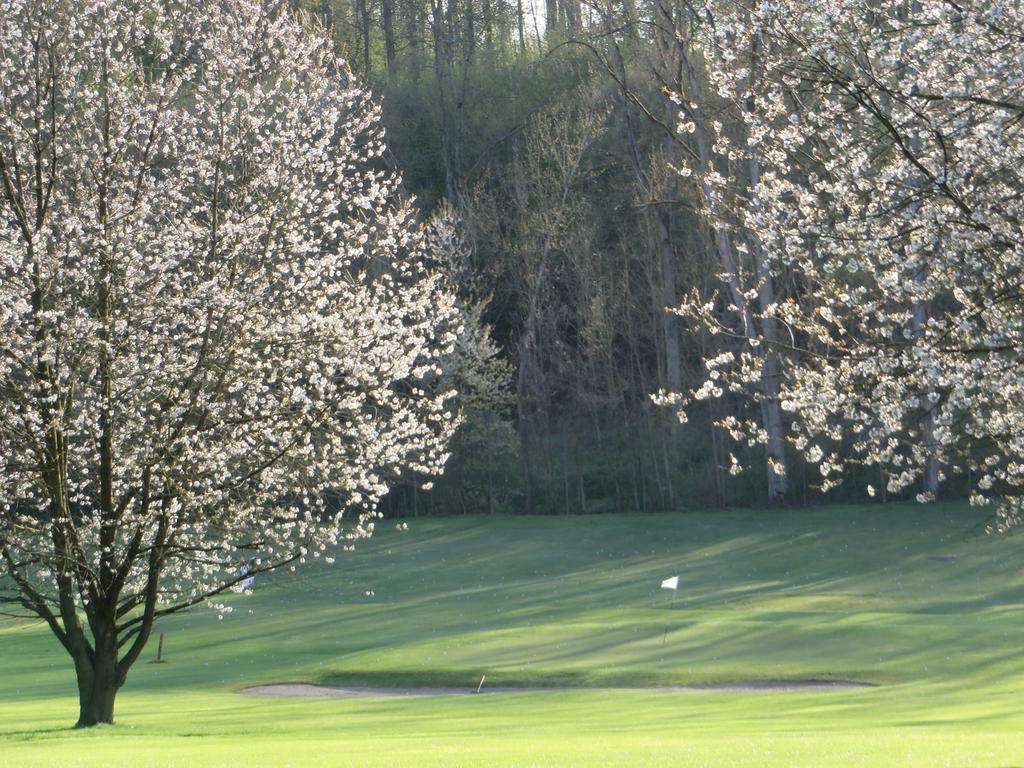 Golf & Hotel De Falnuee Mazy ภายนอก รูปภาพ
